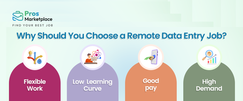 why should you choose a remote data entry job