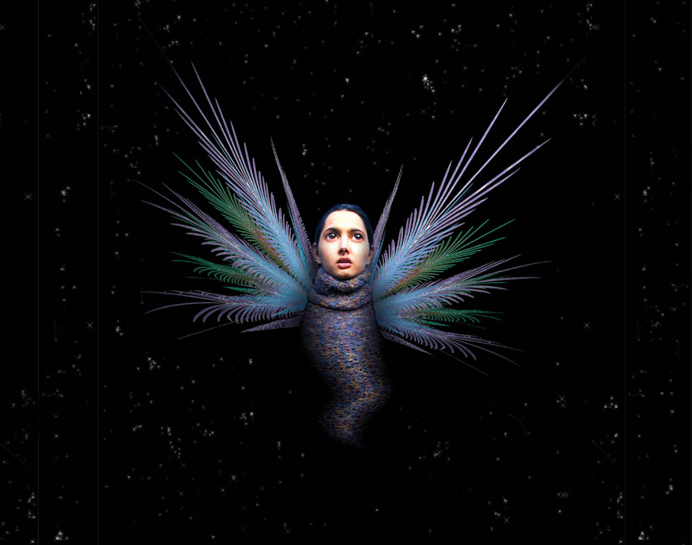 cover img