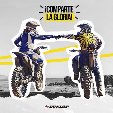 cover img