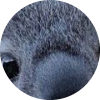 worker img